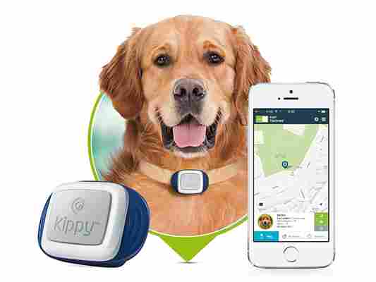 GPS pro psy a kočky Kippy