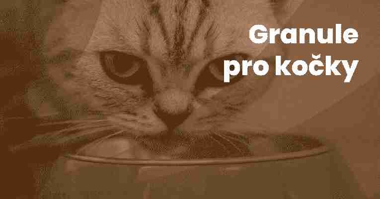 Jak vybrat nejlepší granule a kvalitní krmivo pro kočky a koťata TEST a Recenze 2021 / 2022