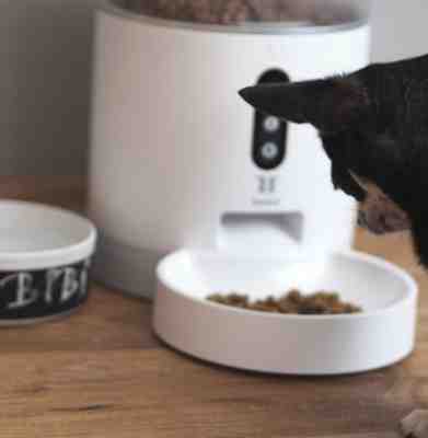 Testování TESLA Smart Pet Feeder: Skvělý tip pro majitele menších plemen psů nebo koček