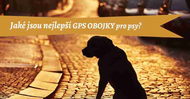 Nejlepší GPS obojky pro psy 2022 – recenze, zkušenosti & jak vybrat​